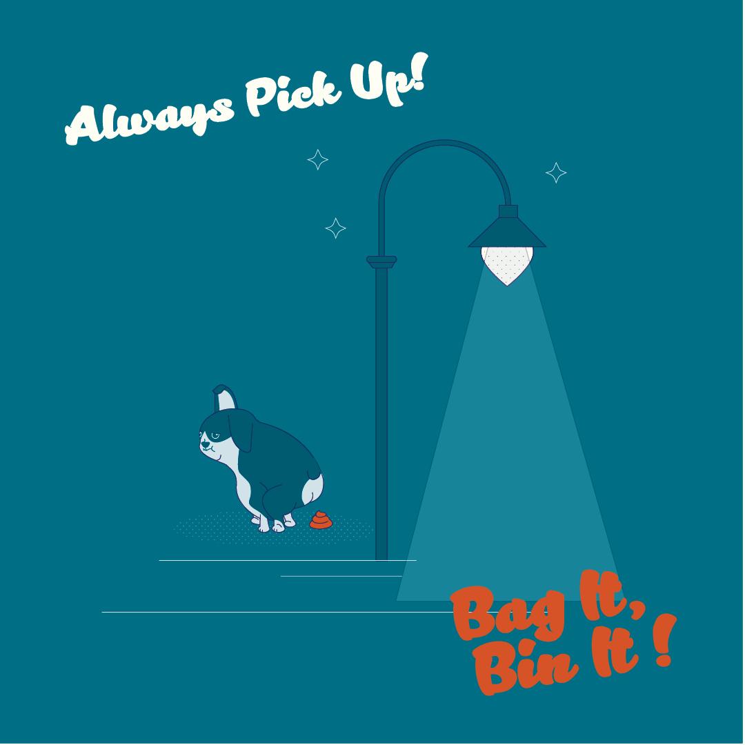 bag it bin it 6 Fingal County Council